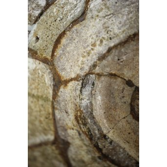 古常滑焼 鉢片口　P202 