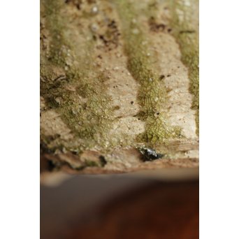 古常滑焼 鉢片口　P202 