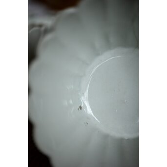 古伊万里白磁 菊型向付 10客1組　P204 
