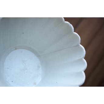 古伊万里白磁 菊型向付 10客1組　P204 