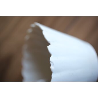 古伊万里白磁 菊型向付 10客1組　P204 