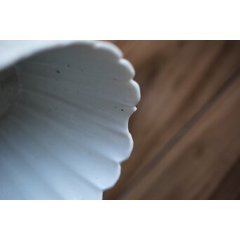 古伊万里白磁 菊型向付 10客1組　P204 