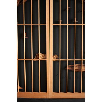 三保の松原 富士 書院 2枚1組　R0052 