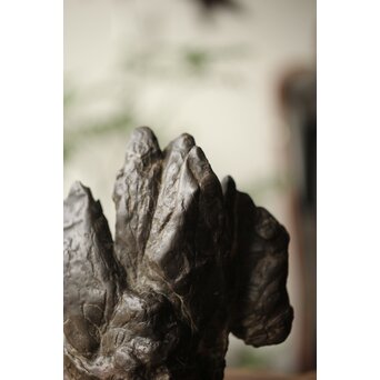 古谷石 盆石/水石/観賞石　U233 