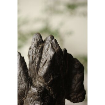 古谷石 盆石/水石/観賞石　U233 