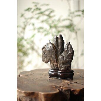 古谷石 盆石/水石/観賞石　U233