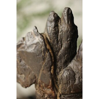 古谷石 盆石/水石/観賞石　U233 