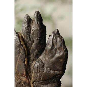 古谷石 盆石/水石/観賞石　U233 