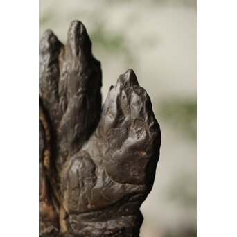 古谷石 盆石/水石/観賞石　U233 