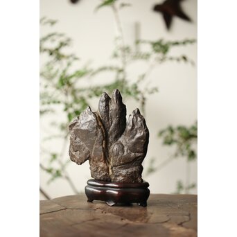 古谷石 盆石/水石/観賞石　U233 