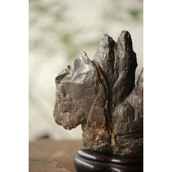 古谷石 盆石/水石/観賞石　U233 