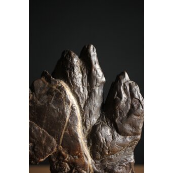 古谷石 盆石/水石/観賞石　U233 