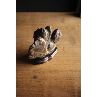 古谷石 盆石/水石/観賞石　U233 