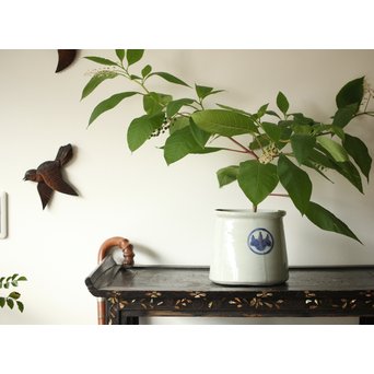 古伊万里 末広型水指/花瓶　P207