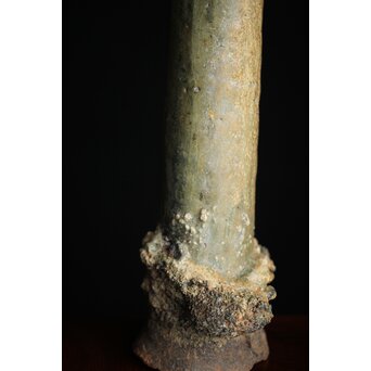 サンカローク窯 宋胡禄 窯道具 サヤ 花器　P210 