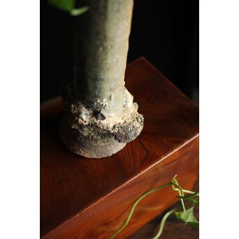 サンカローク窯 宋胡禄 窯道具 サヤ 花器　P210 