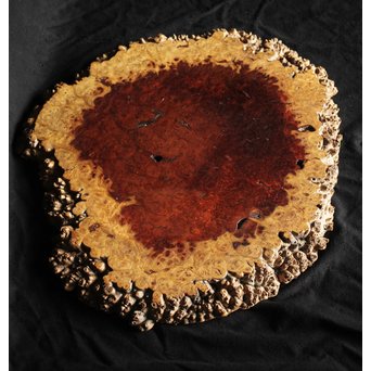 花梨瘤木敷板　X269