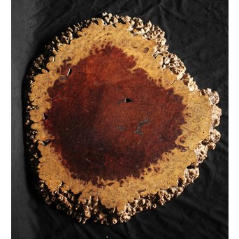 花梨瘤木敷板　X269 