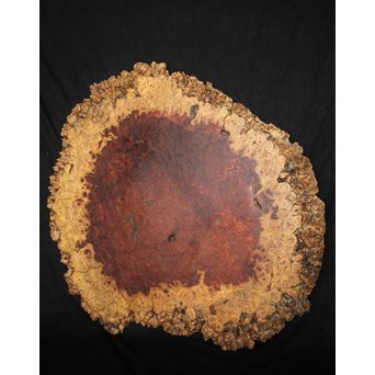 花梨瘤木敷板　X269 