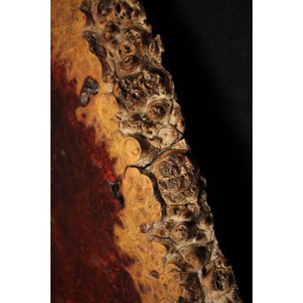 花梨瘤木敷板　X269 