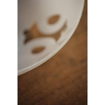 内白被せ 刳貫腐食電笠　A2030Y 