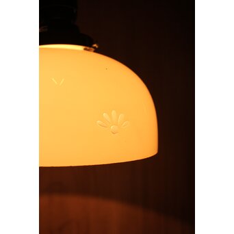 内白被せ 刳貫腐食電笠　A2030Y 