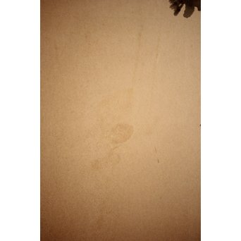 那須雅城 台湾博物館収蔵作家【軍鶏】紙本屏風　Z239 