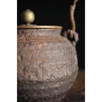 亀文堂 芋頭 小振 鉄瓶 湯沸 拙家琵琶湖有東 底款 霊芝古木提手　M245 