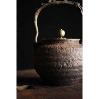 亀文堂 芋頭 小振 鉄瓶 湯沸 拙家琵琶湖有東 底款 霊芝古木提手　M245 