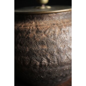 亀文堂 芋頭 小振 鉄瓶 湯沸 拙家琵琶湖有東 底款 霊芝古木提手　M245 