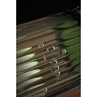 ガラス筒 円柱式電笠/照明　A2034Y 