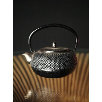 砂鉄本体銘 豆鉄瓶/急須　M248