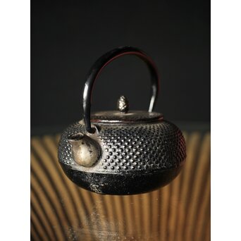 砂鉄本体銘 豆鉄瓶/急須　M248 