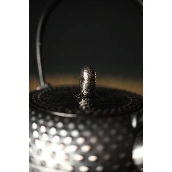 デッドストック共箱 照光堂 砂鉄 豆鉄瓶/急須　M249 