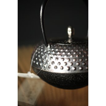 デッドストック共箱 照光堂 砂鉄 豆鉄瓶/急須　M249 