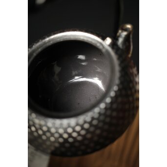 デッドストック共箱 照光堂 砂鉄 豆鉄瓶/急須　M249 