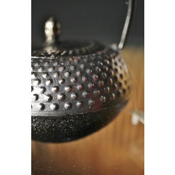 デッドストック共箱 照光堂 砂鉄 豆鉄瓶/急須　M249 