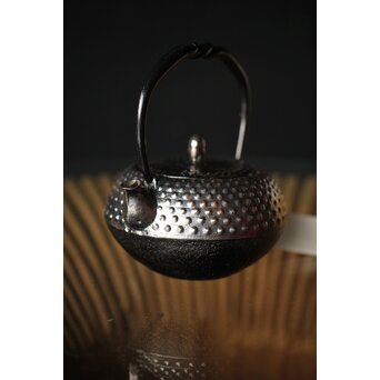 デッドストック共箱 照光堂 砂鉄 豆鉄瓶/急須　M249 