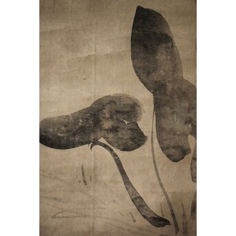 倣 尾形光琳 紙本掛軸2幅　Z242 