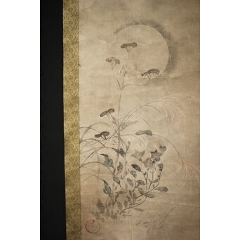 倣 尾形光琳 紙本掛軸2幅　Z242 