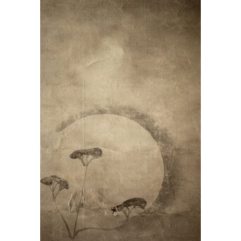 倣 尾形光琳 紙本掛軸2幅　Z242 