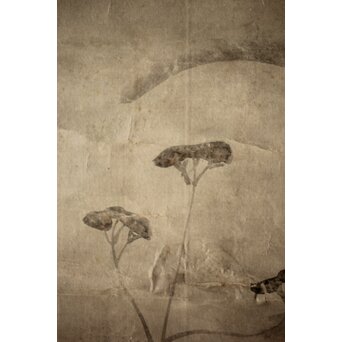 倣 尾形光琳 紙本掛軸2幅　Z242 