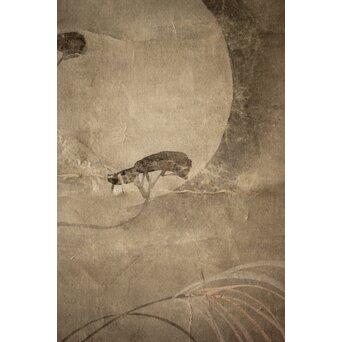 倣 尾形光琳 紙本掛軸2幅　Z242 