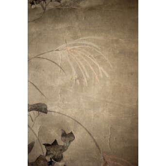 倣 尾形光琳 紙本掛軸2幅　Z242 