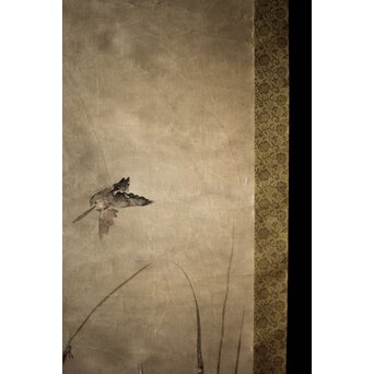 倣 尾形光琳 紙本掛軸2幅　Z242 