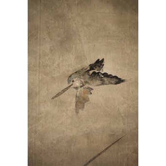 倣 尾形光琳 紙本掛軸2幅　Z242 