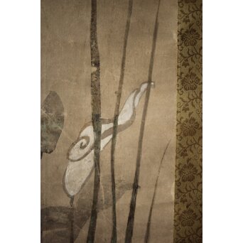 倣 尾形光琳 紙本掛軸2幅　Z242 