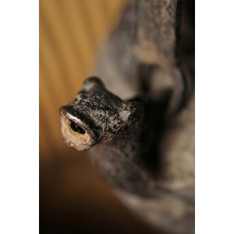 初代 秦蔵六造 銅環摘 鉄共蓋 双龍紋様 獣口形 鉄瓶/湯沸　M251 