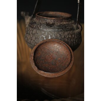 初代 秦蔵六造 銅環摘 鉄共蓋 双龍紋様 獣口形 鉄瓶/湯沸　M251 