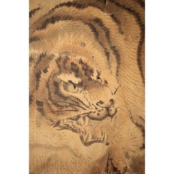 白井華陽 虎の図 六曲一双紙本水墨屏風　Z243 